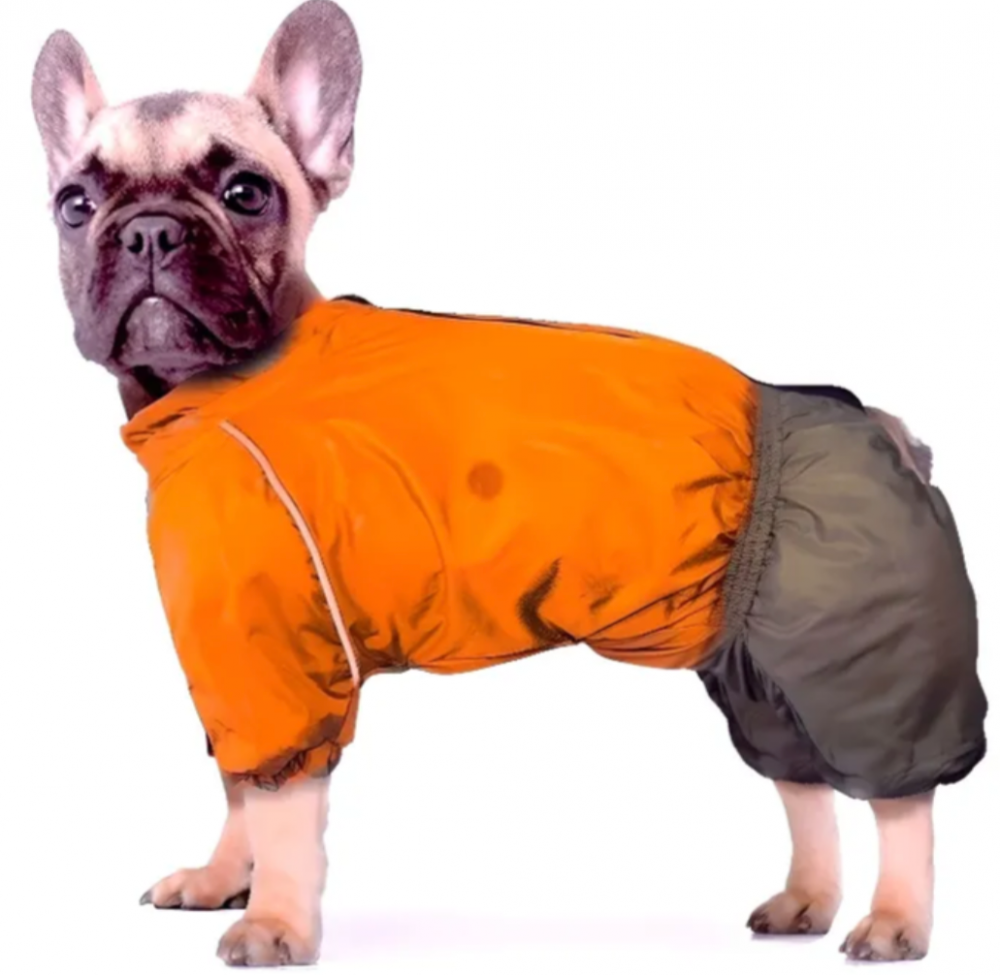 Зимний комбинезон ZooTREND размер №6 (француз),цвет в ассортименте