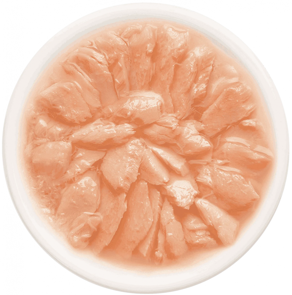 ПАУЧ Деревенские лакомства Филейный лосось : ЖЕЛЕ 70 г для кошек